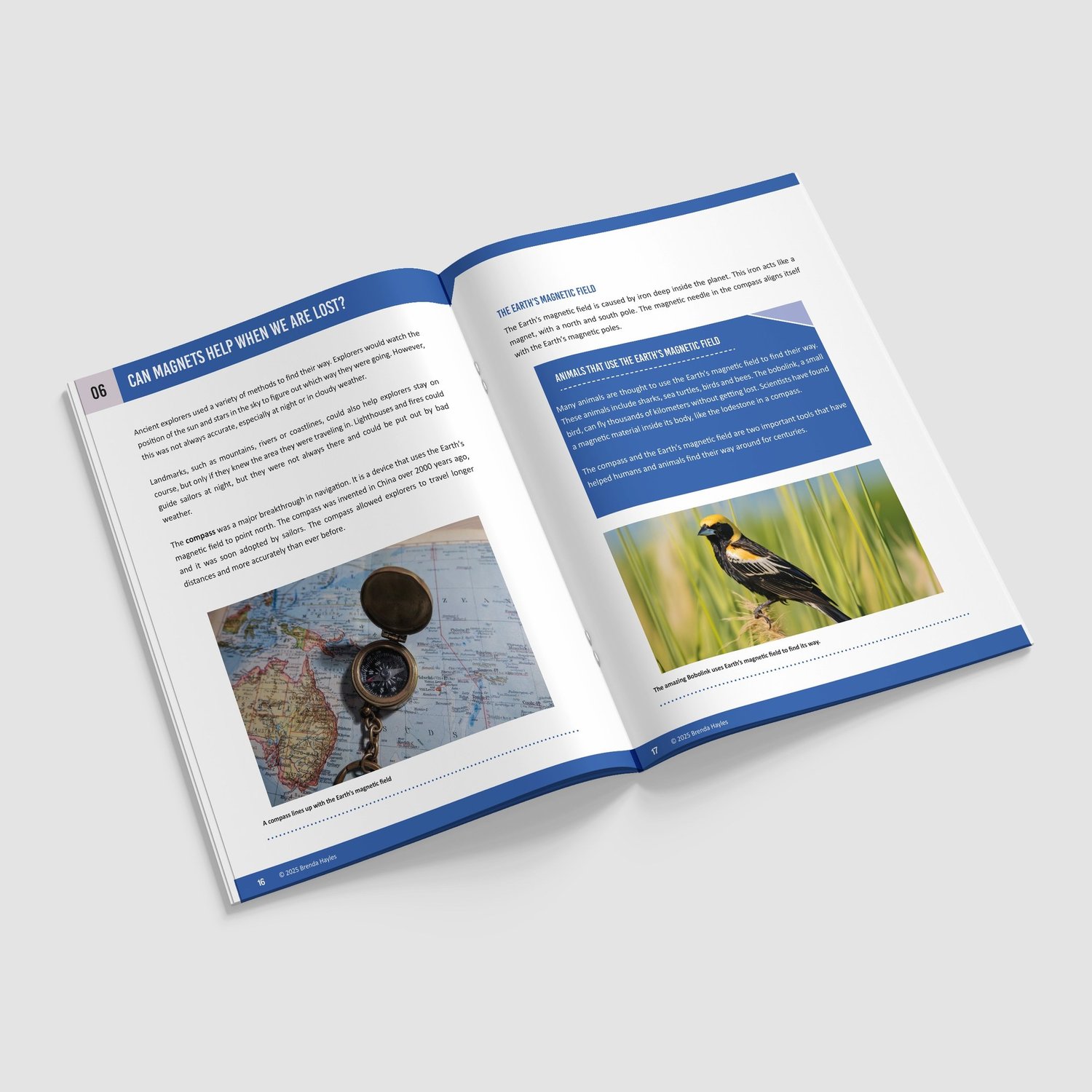 Forces and Magnets Science Booklet | Grade 3 | NGSS Aligned | Pushes, Pulls and Poles: preview page 4 of 4