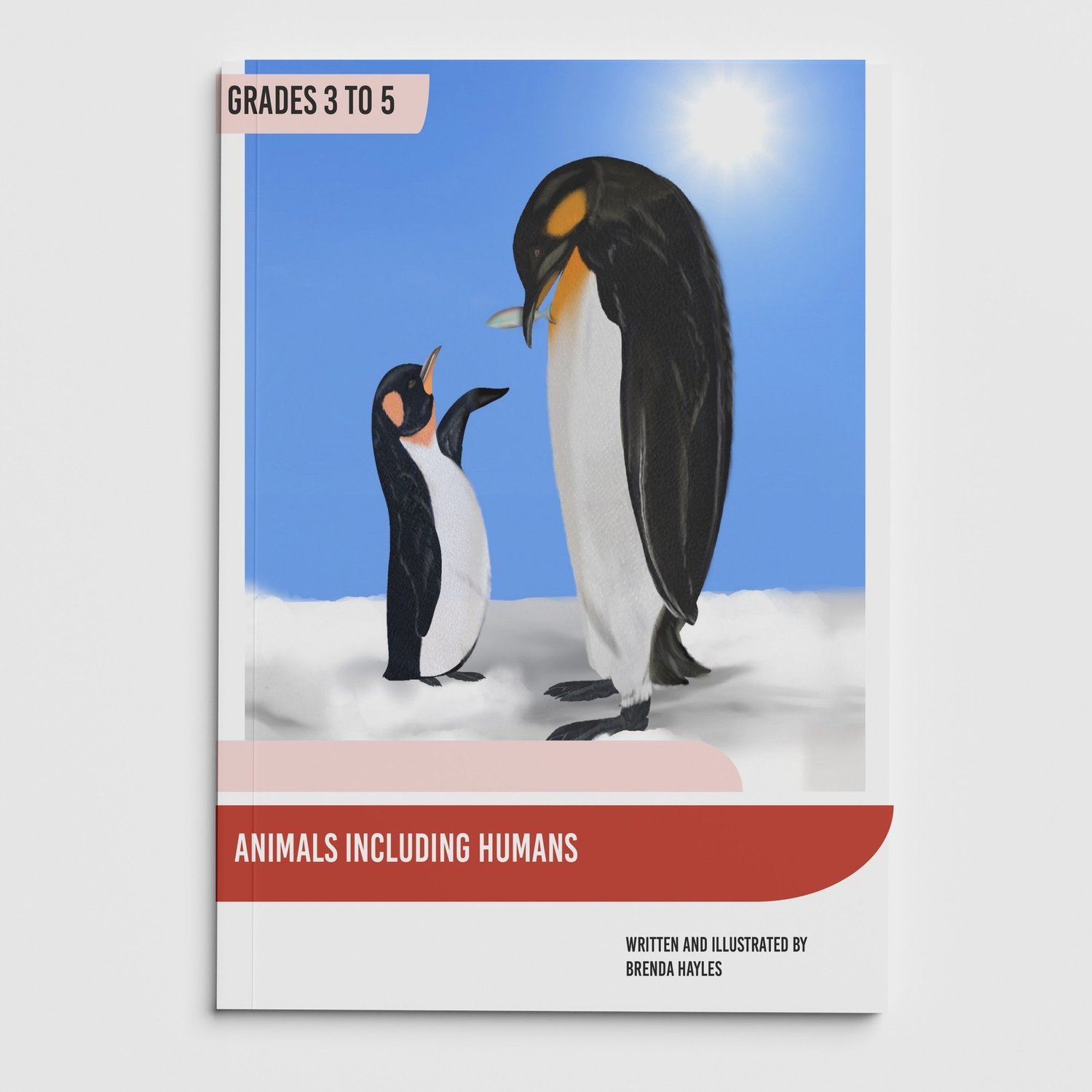 Animals Including Humans Science Booklet | Grades 3-5 | NGSS Aligned | Food and Bones: cover