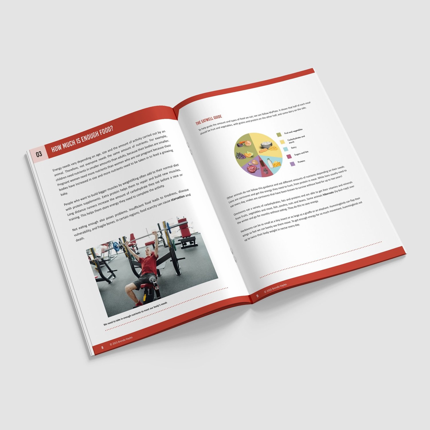 Animals Including Humans Science Booklet | Grades 3-5 | NGSS Aligned | Food and Bones: preview page 2 of 4