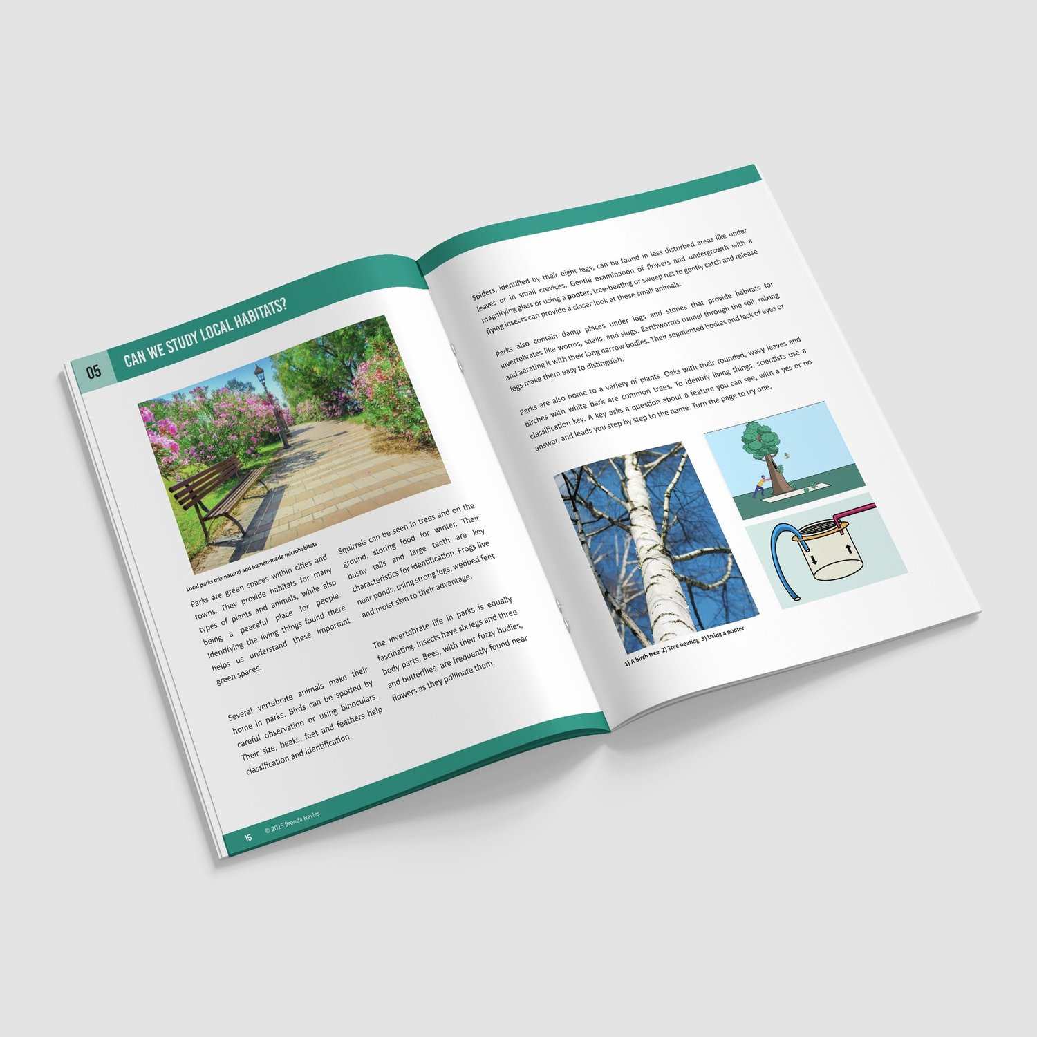 Living Things and Their Habitats Booklet | Grades 5-7 | Classifying Life: preview page 3 of 4