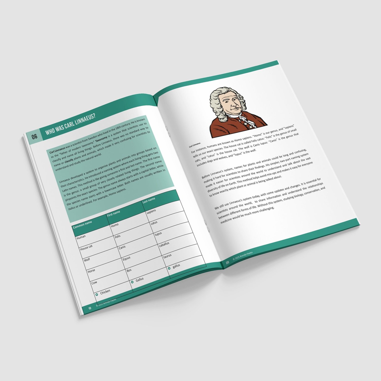 Living Things and Their Habitats Booklet | Grades 5-7 | Classifying Life: preview page 4 of 4