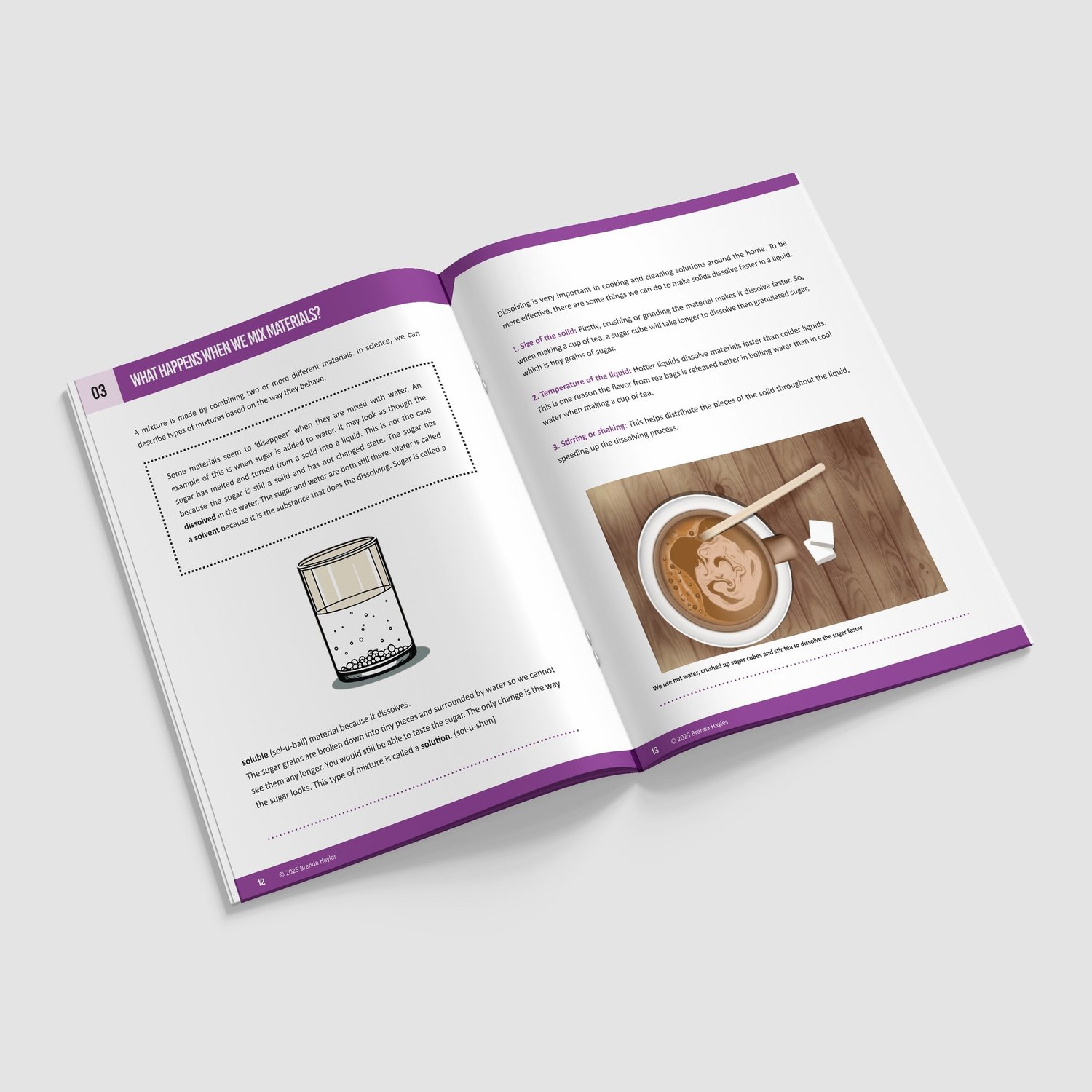 Properties and Changes of Materials Booklet | Grade 5 | NGSS Aligned | Mix and Melt: preview page 3 of 4