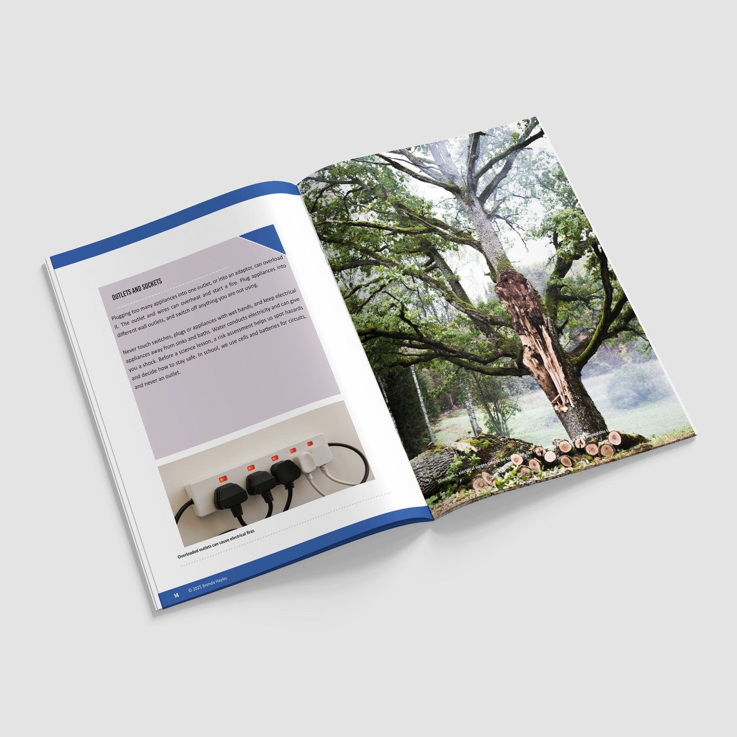 Electrical Circuits Science Booklet | Grades 4-6 | NGSS Aligned | Voltage and Diagrams: preview page 4 of 4