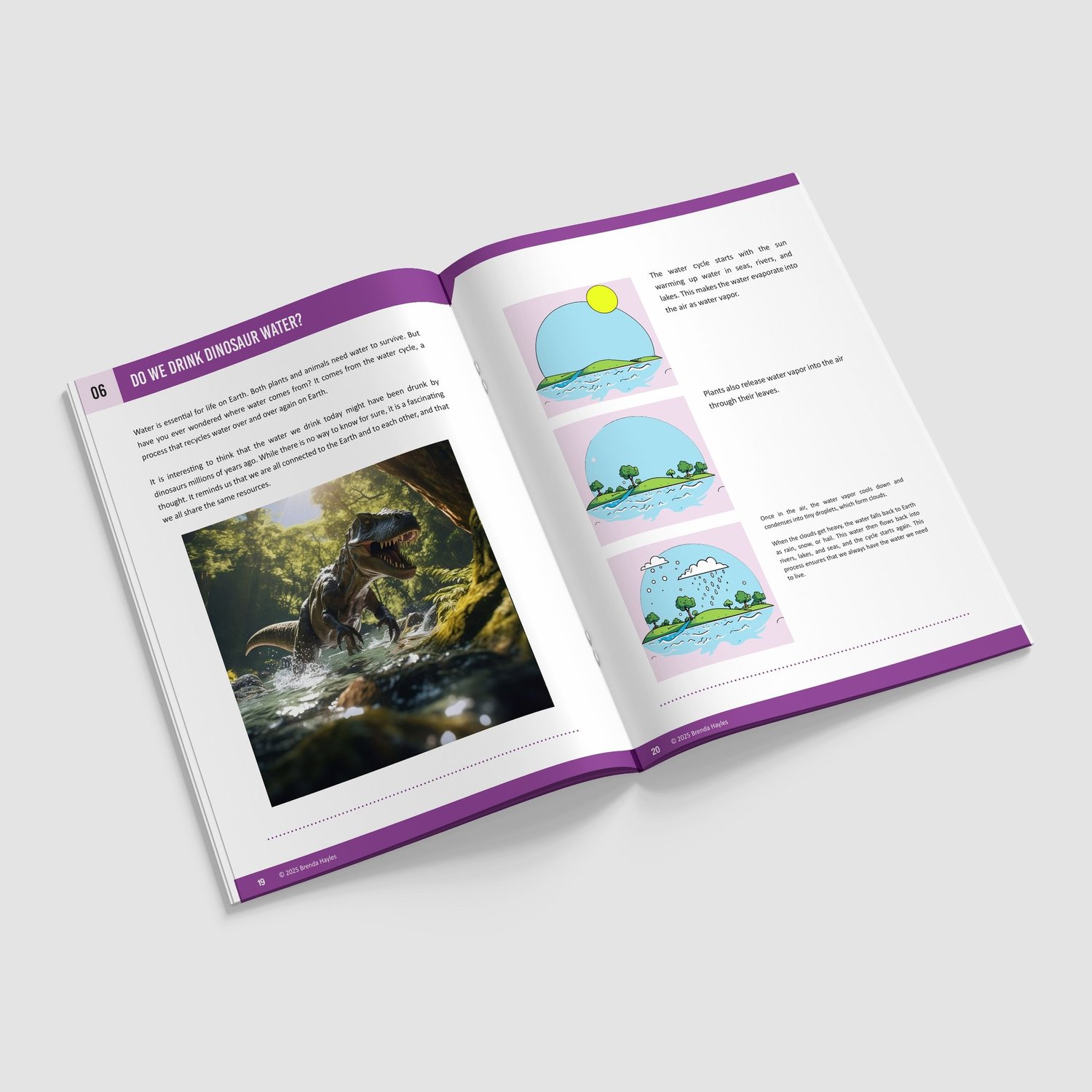 States of Matter Booklet | Grades 2-5 | NGSS Aligned | Melting, Freezing, Evaporating: preview page 4 of 4