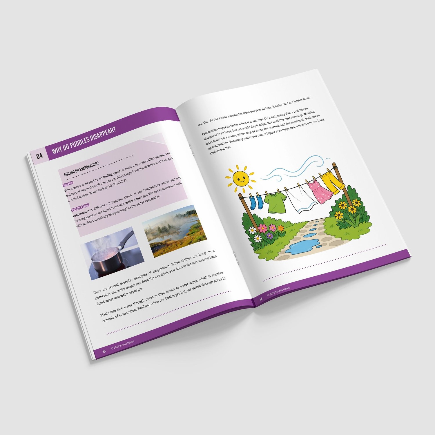 States of Matter Booklet | Grades 2-5 | NGSS Aligned | Melting, Freezing, Evaporating: preview page 3 of 4