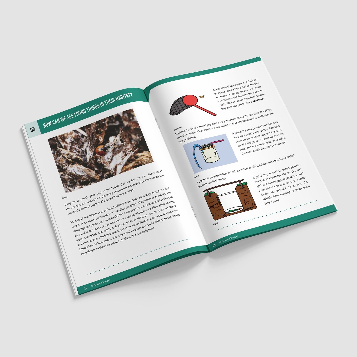 Living Things and Their Habitats Booklet | Grades 3-5 | NGSS Aligned | Classification Unit: preview page 3 of 4
