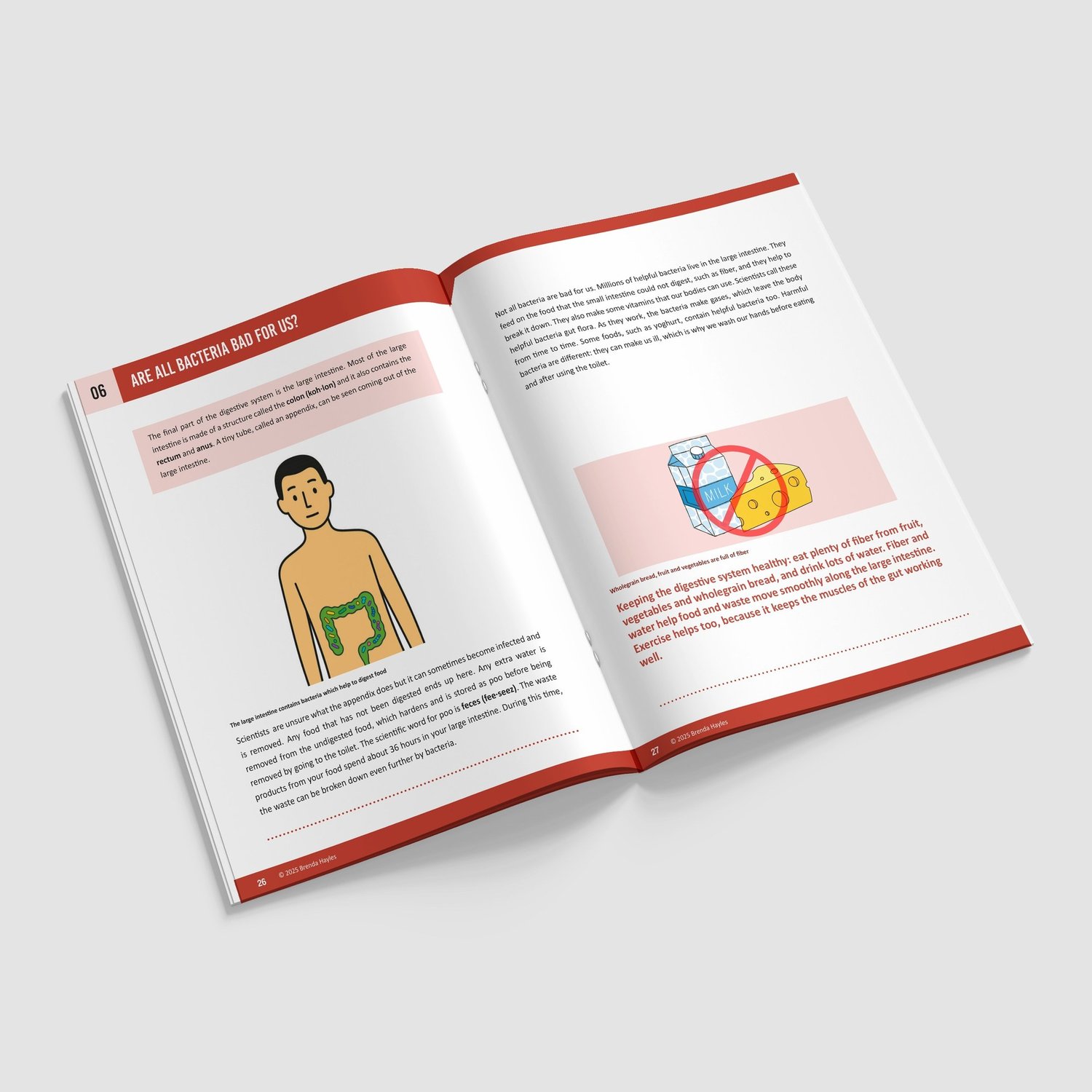 Animals Including Humans Science Booklet | Grades 4-6 | NGSS Aligned | Teeth and Digestion: preview page 4 of 4