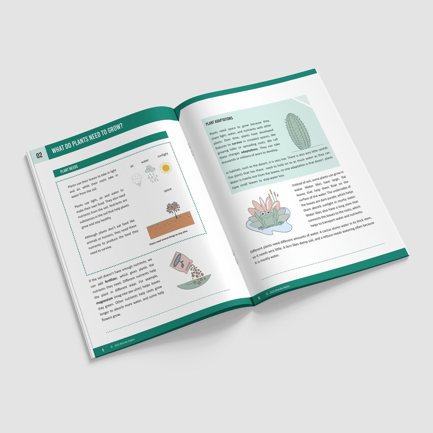 Plants Science Booklet | Grades 2-4 | NGSS Aligned | Roots, Water and Flowers: preview page 2 of 4