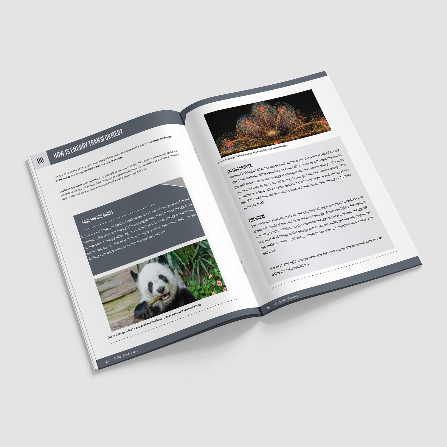 Getting Ready for Middle School Science Booklet | Grades 5-6 | NGSS Aligned: preview page 4 of 4