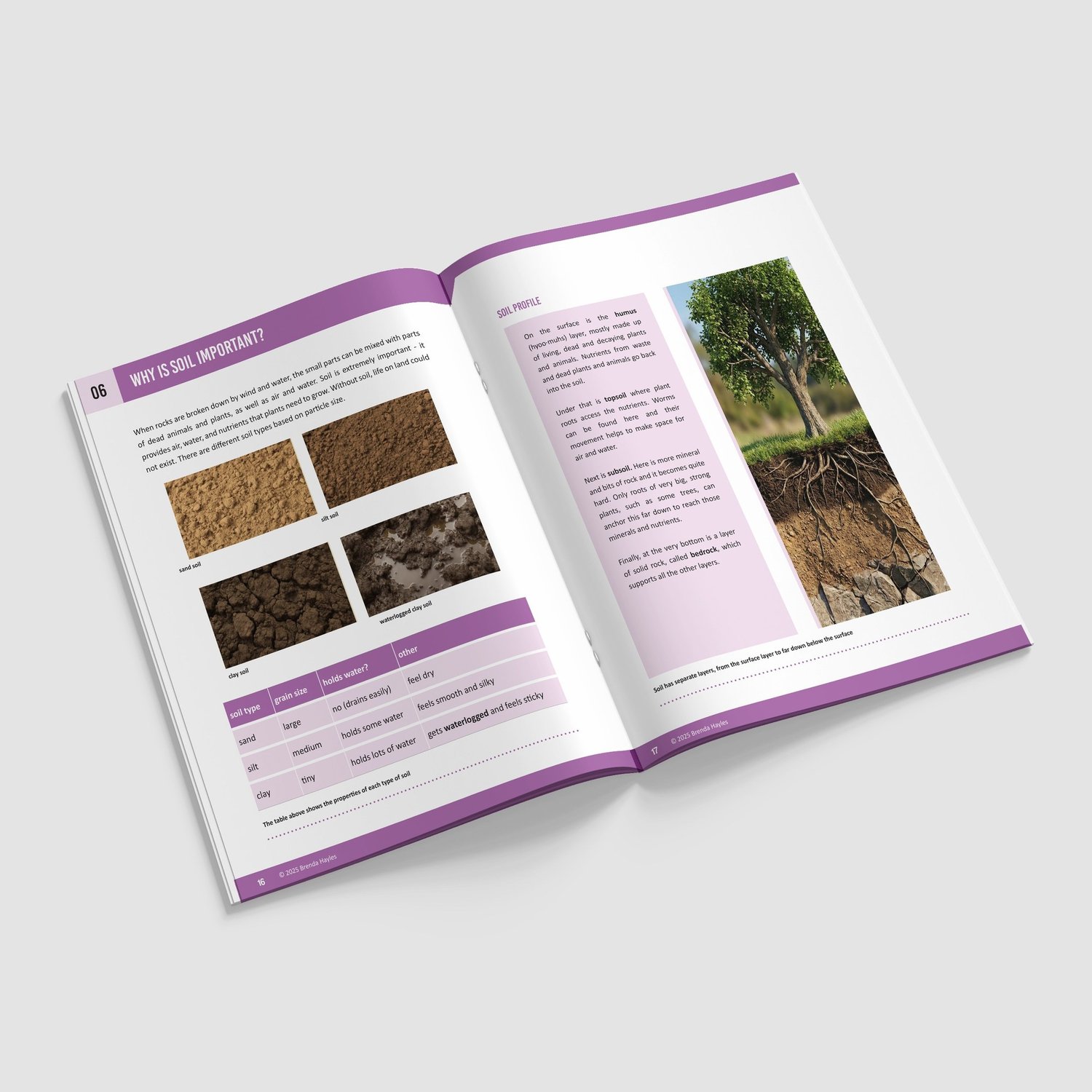 Rocks Science Booklet | Grades 3-5 | NGSS Aligned | Rocks, Fossils and Soil: preview page 4 of 4