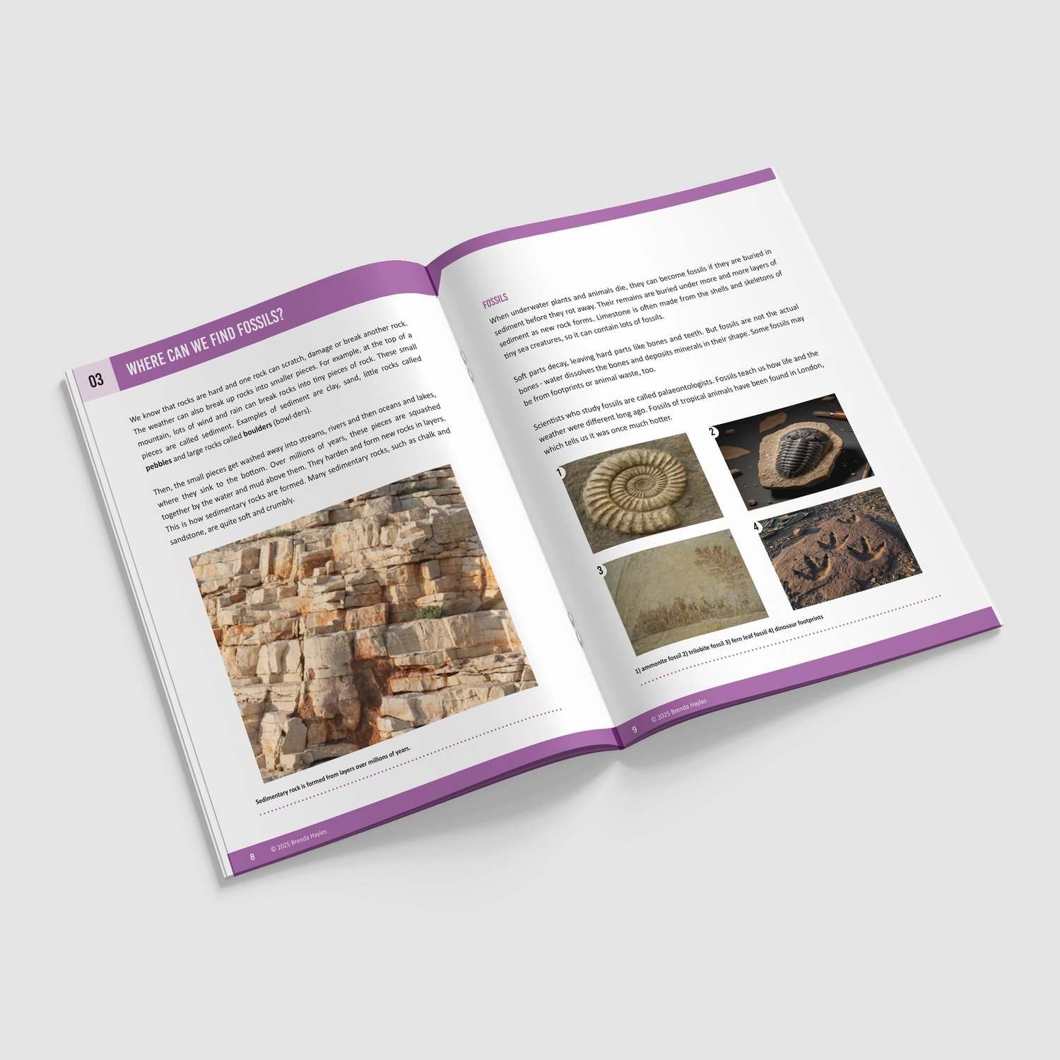 Rocks Science Booklet | Grades 3-5 | NGSS Aligned | Rocks, Fossils and Soil: preview page 3 of 4