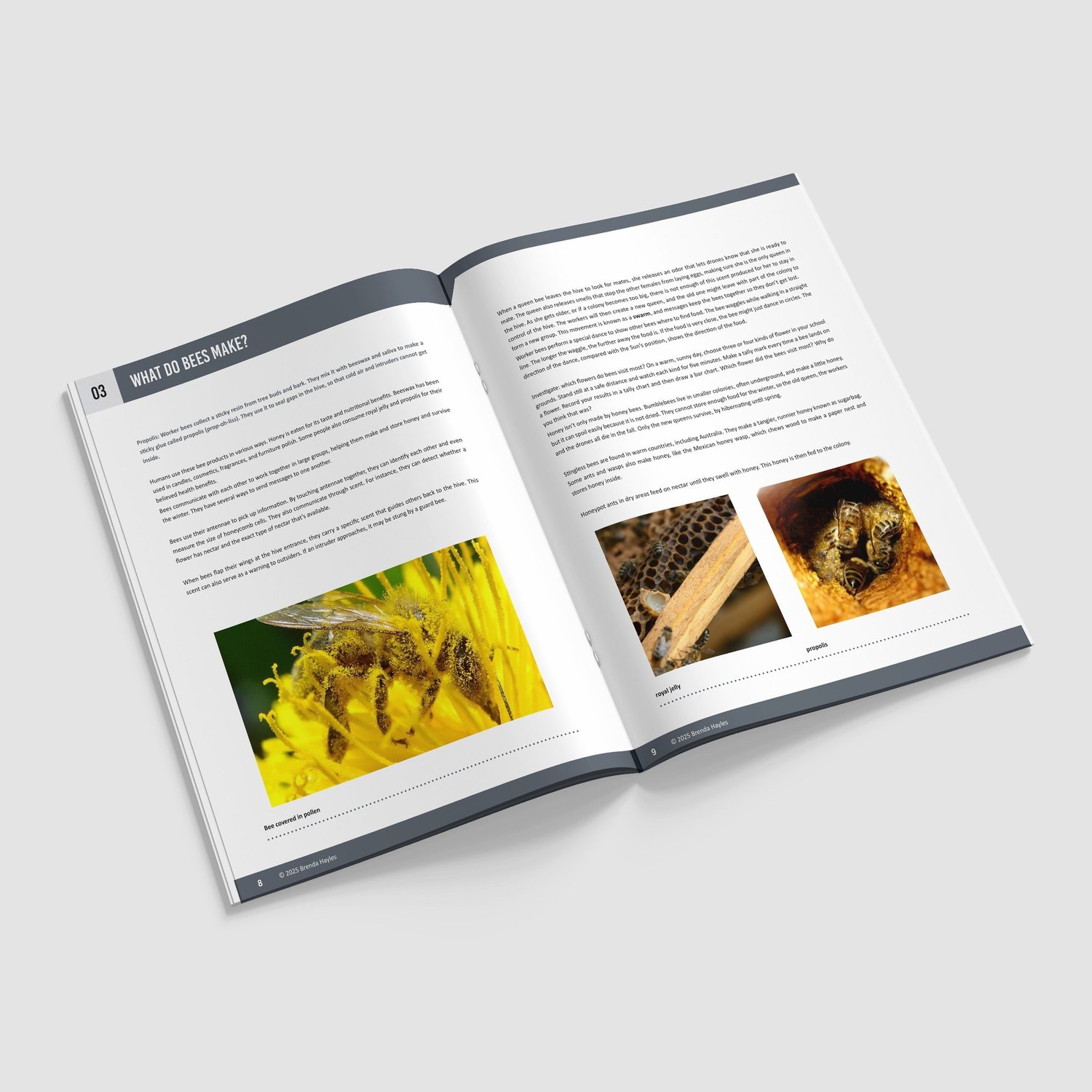 The Bee Project Science Booklet | Grades 2-4 | NGSS Aligned | Hives, Honey and Pollination: preview page 3 of 4