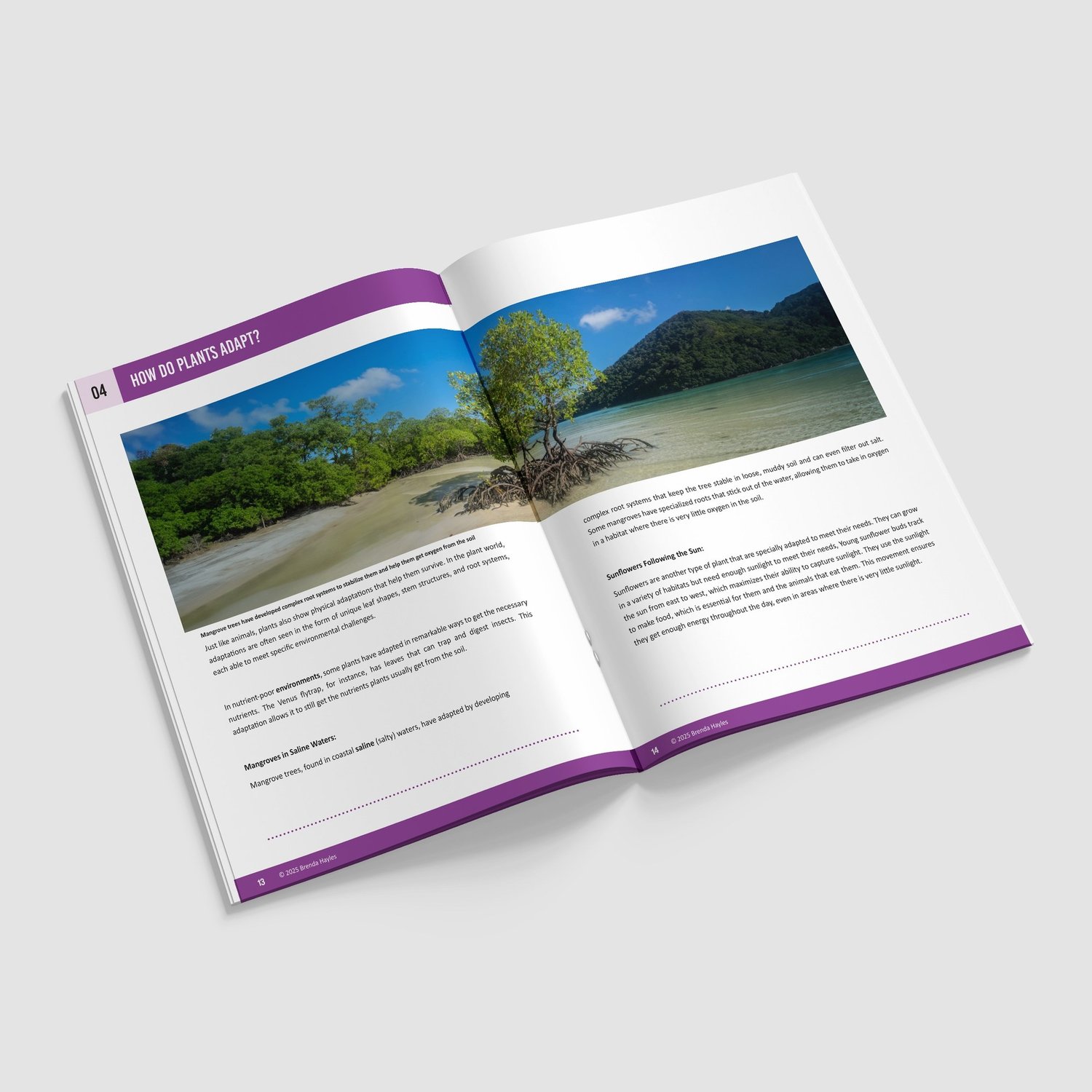 Evolution and Inheritance Booklet | Grades 3-5 | NGSS Aligned | Adaptation and Fossils: preview page 3 of 4