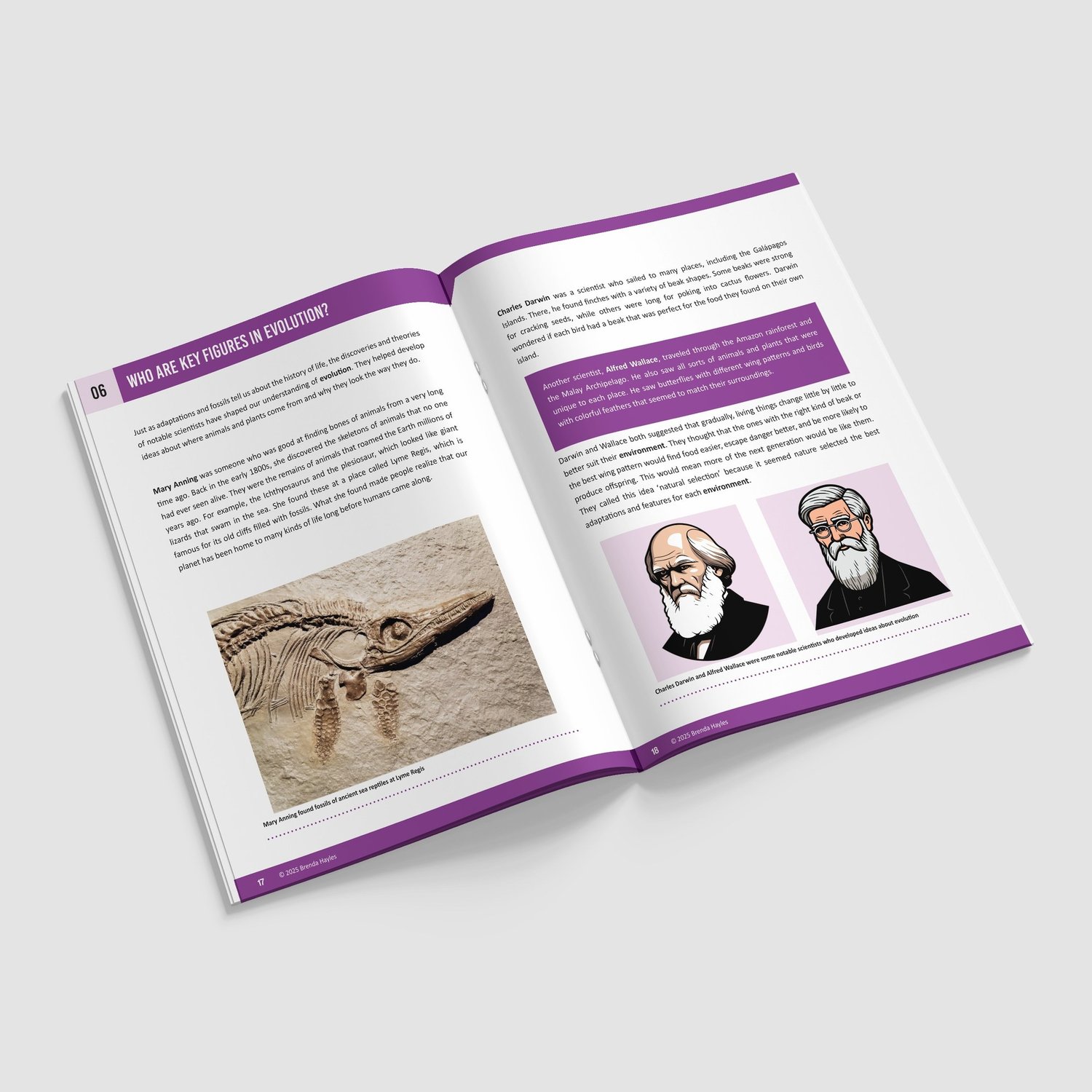 Evolution and Inheritance Booklet | Grades 3-5 | NGSS Aligned | Adaptation and Fossils: preview page 4 of 4