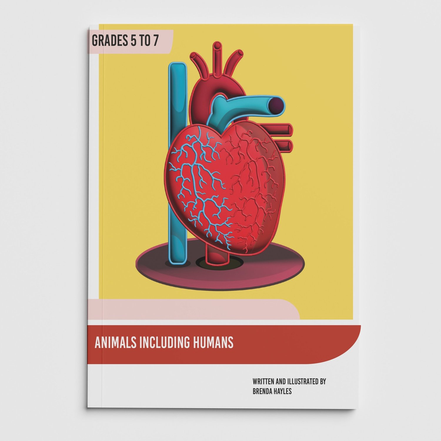 Animals Including Humans Science Booklet | Grades 5-7 | Heart, Blood and Health: cover