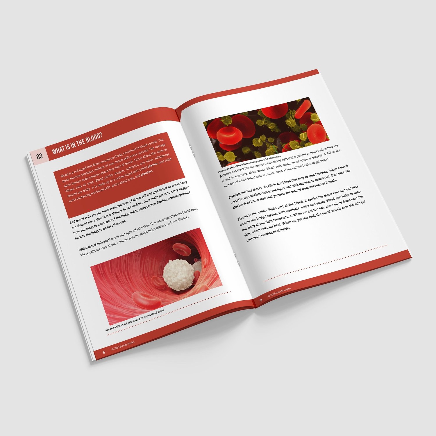 Animals Including Humans Science Booklet | Grades 5-7 | Heart, Blood and Health: preview page 3 of 4
