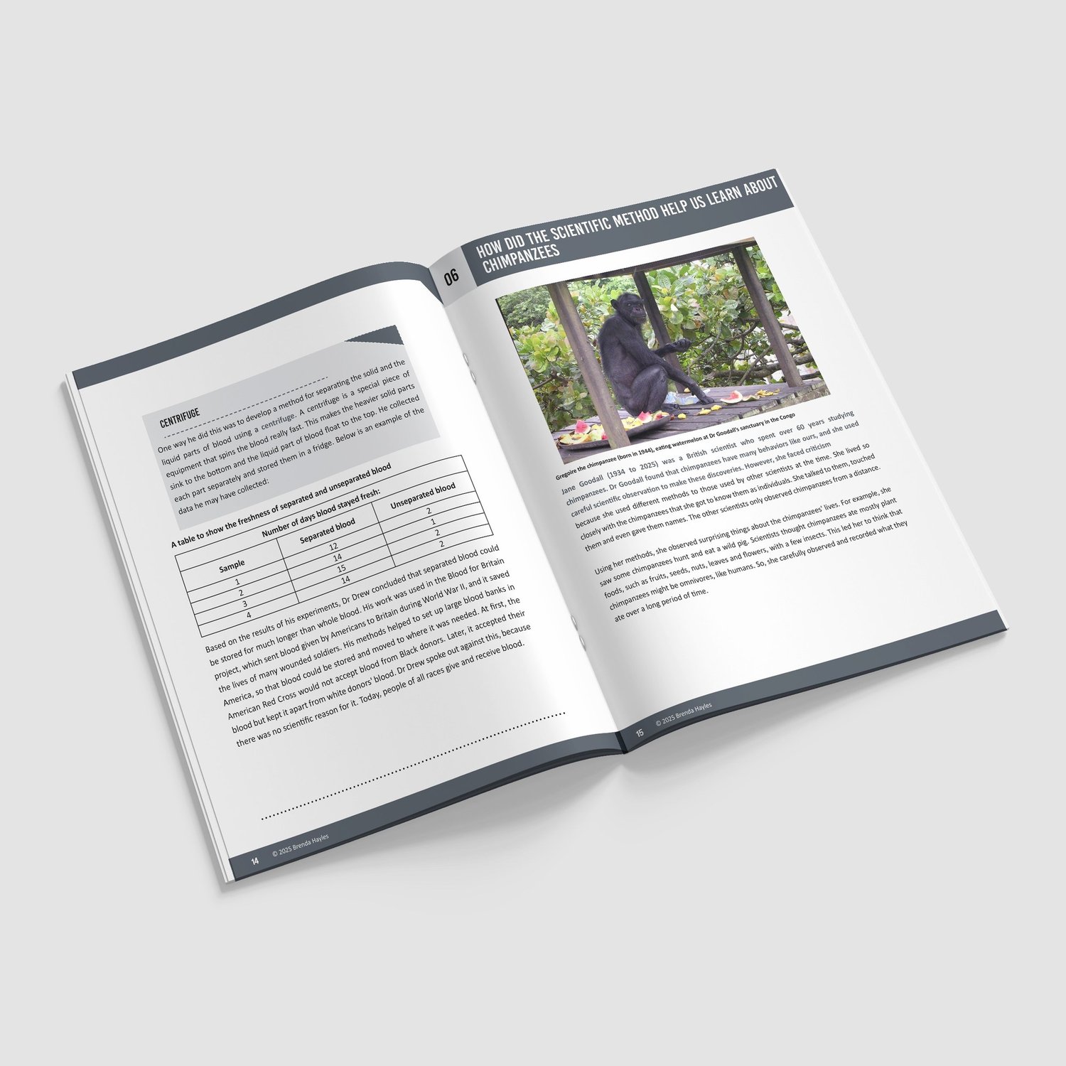Scientific Method Booklet | Grades 3-6 | NGSS Aligned | Variables and Fair Tests: preview page 4 of 4