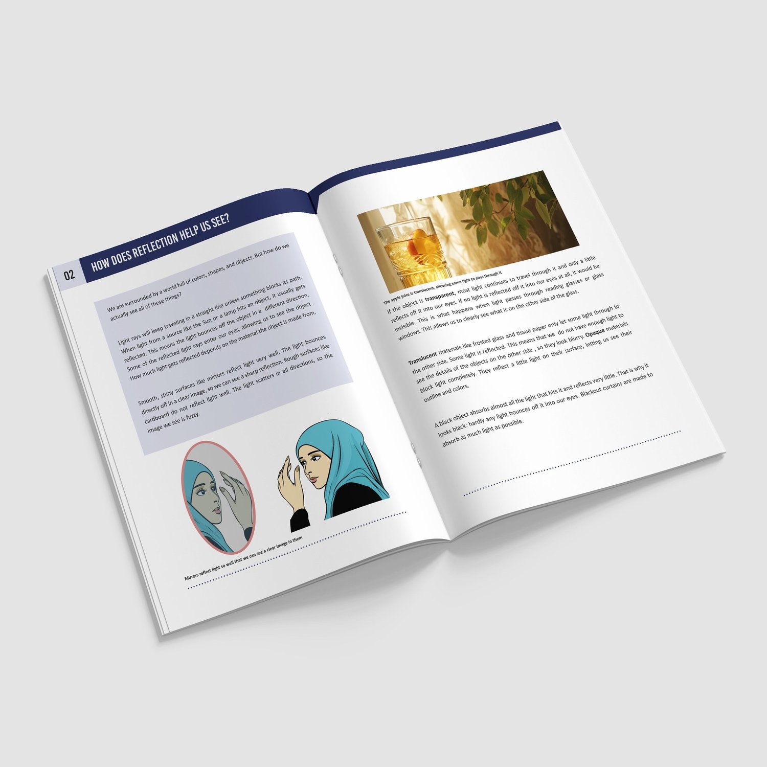 Light Science Booklet | Grades 4-6 | NGSS Aligned | Rays, Reflection and Shadows: preview page 2 of 4