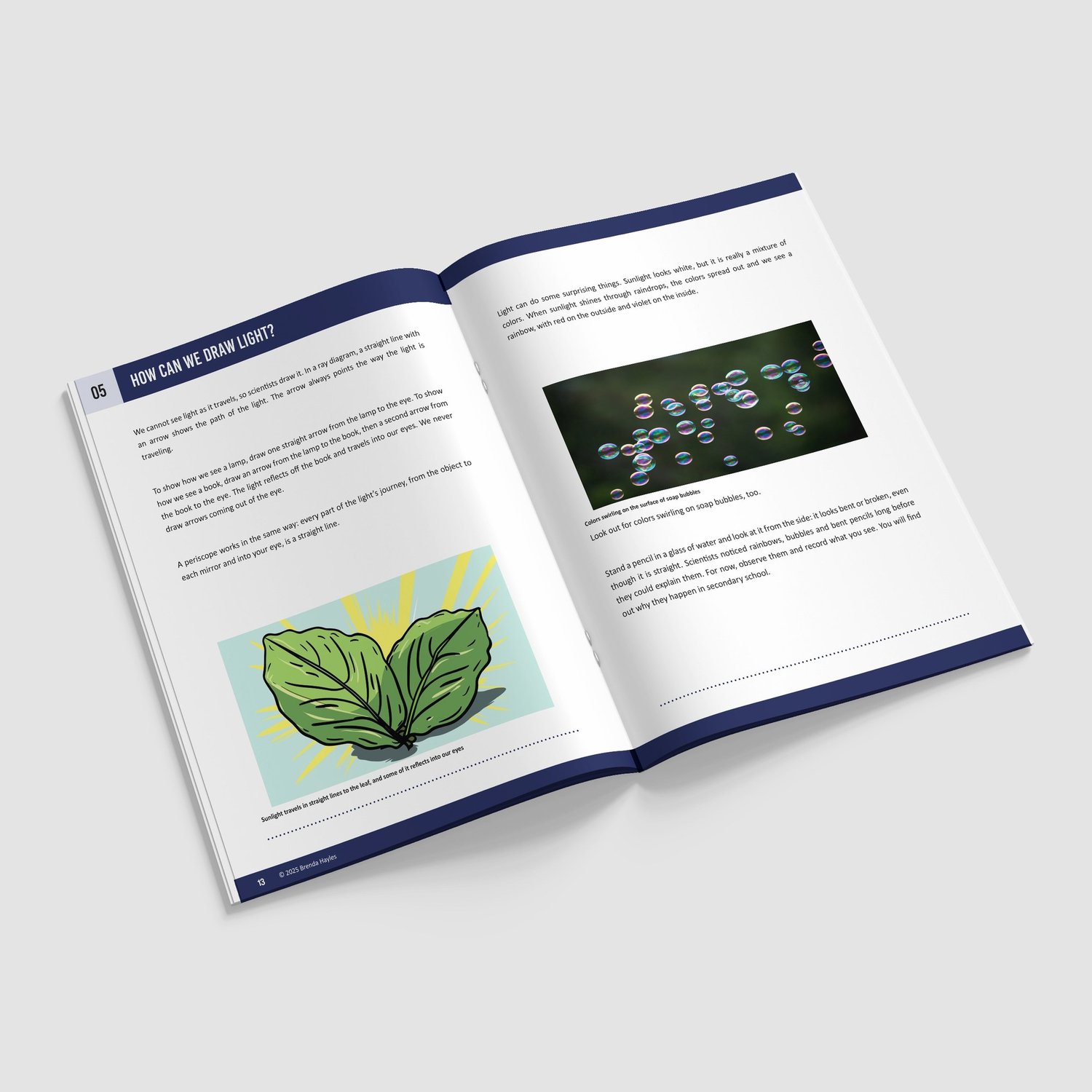 Light Science Booklet | Grades 4-6 | NGSS Aligned | Rays, Reflection and Shadows: preview page 3 of 4