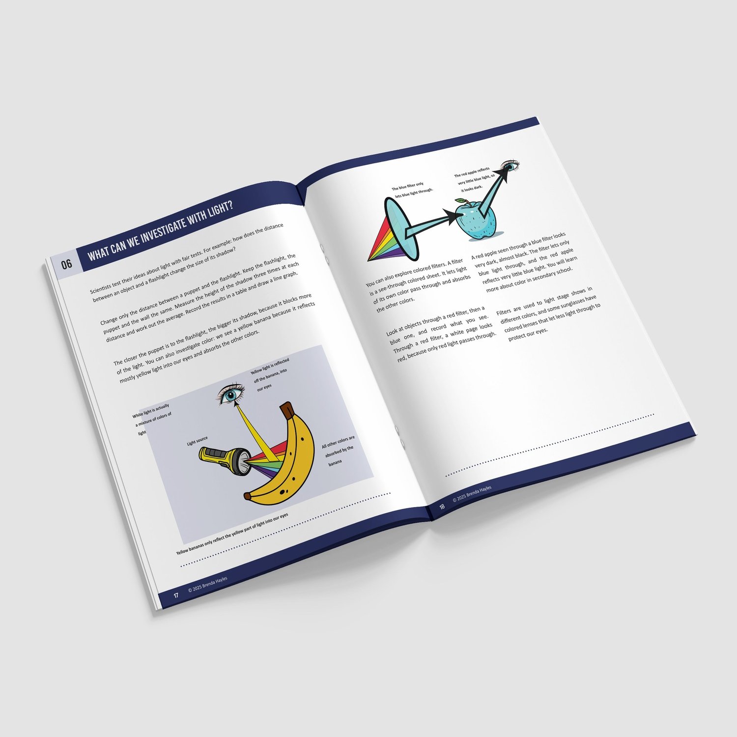 Light Science Booklet | Grades 4-6 | NGSS Aligned | Rays, Reflection and Shadows: preview page 4 of 4