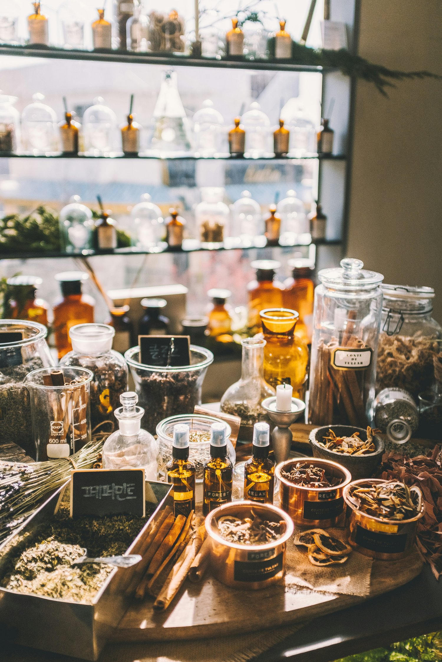 How Herbal Medicine Actually Works in the Body (Beyond “Natural = Safe”)