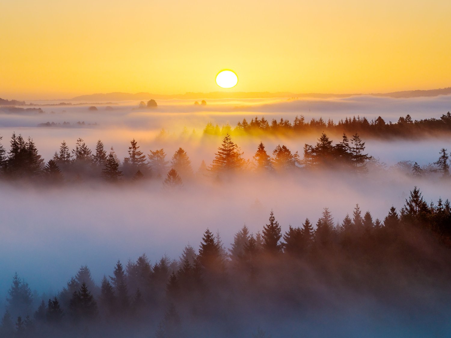 Himmelbjerget Sky mountain aerial drone mavic 4 pro denmark sunrise fog foggy atmosphere golden hour tower jutland