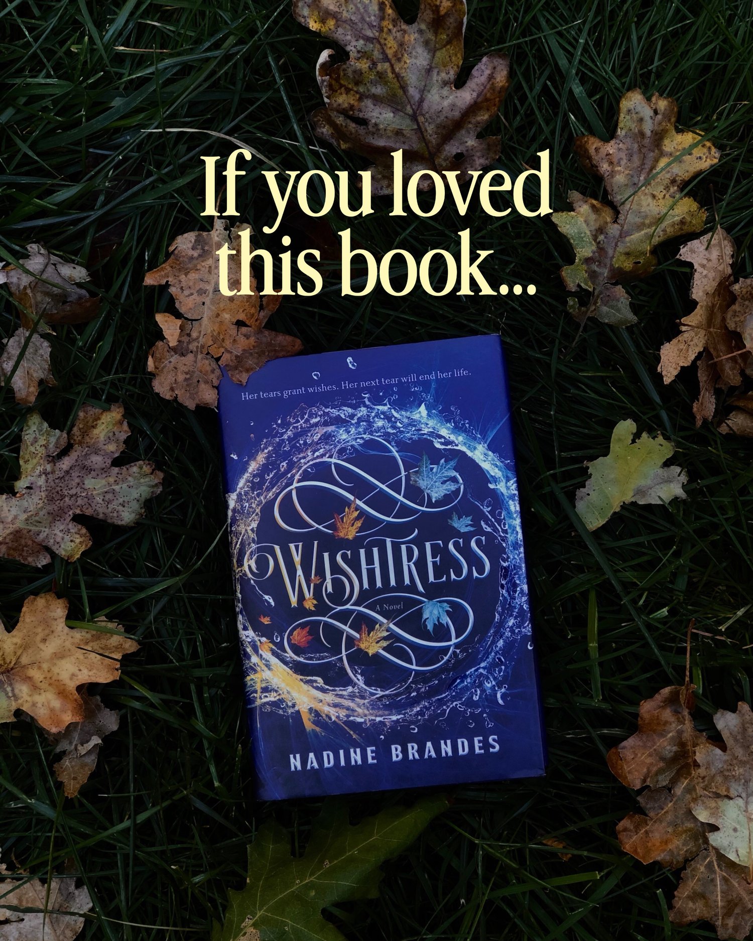 if you loved Wishtress by Nadine Brandes then I have some amazing news for you