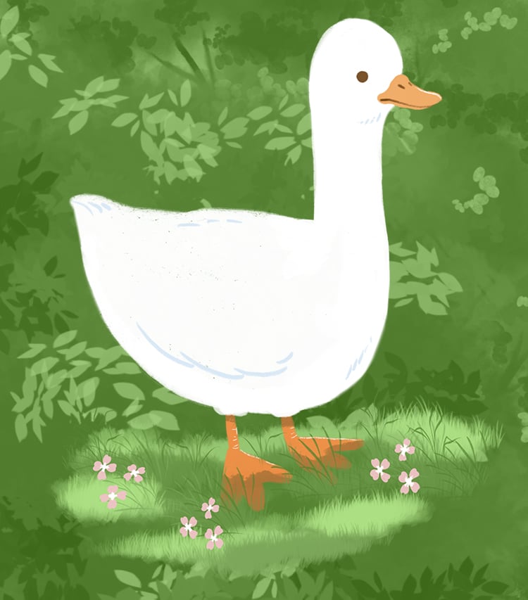 Cute duck art with nature procreate brushes and stamps