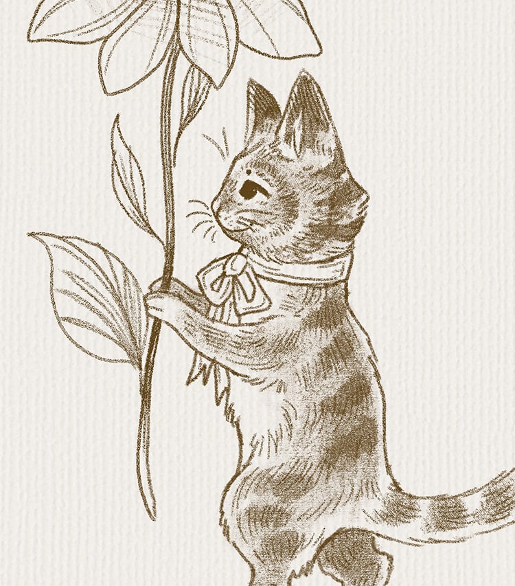 Vintage cat drawing with sketch procreate brushes