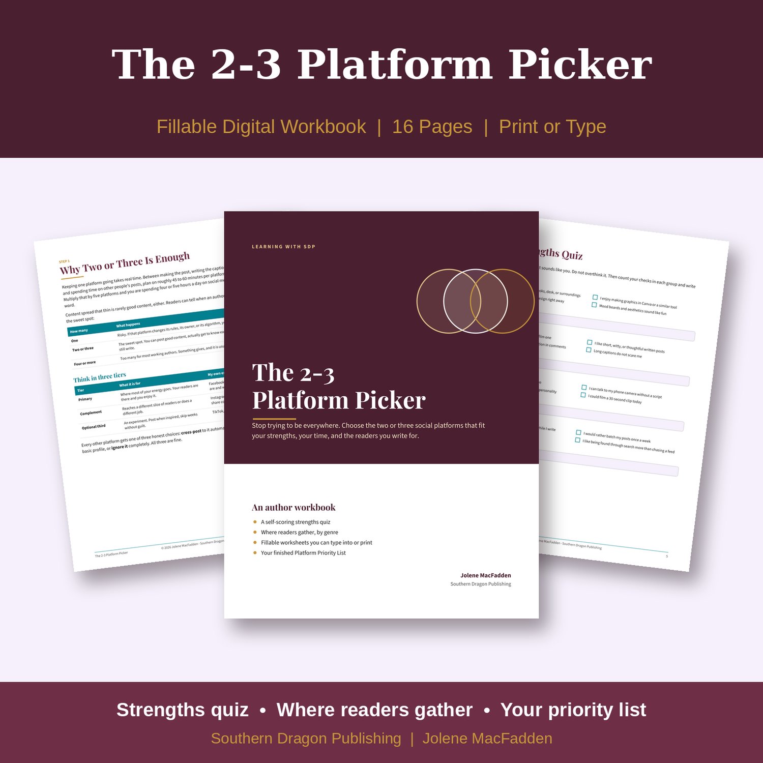 The 2-3 Platform Picker workbook cover with overlapping circles and sample strengths quiz pages