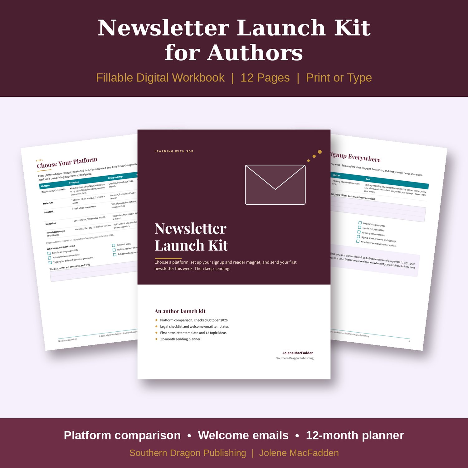 Newsletter Launch Kit for Authors workbook cover with envelope icon and sample planning pages