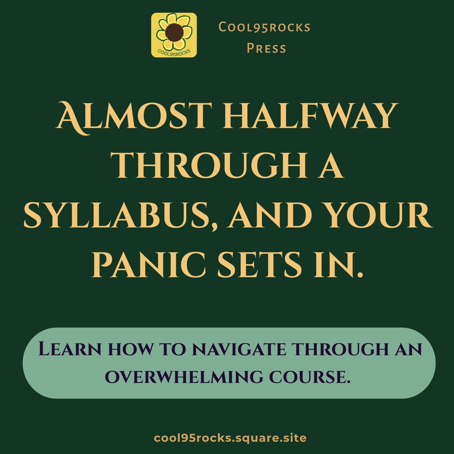 Almost halfway through a syllabus, and your panic sets in. Learn how to navigate through an overwhelming course. Best study systems for returning college students. Find the article on Cool95rocks Press.