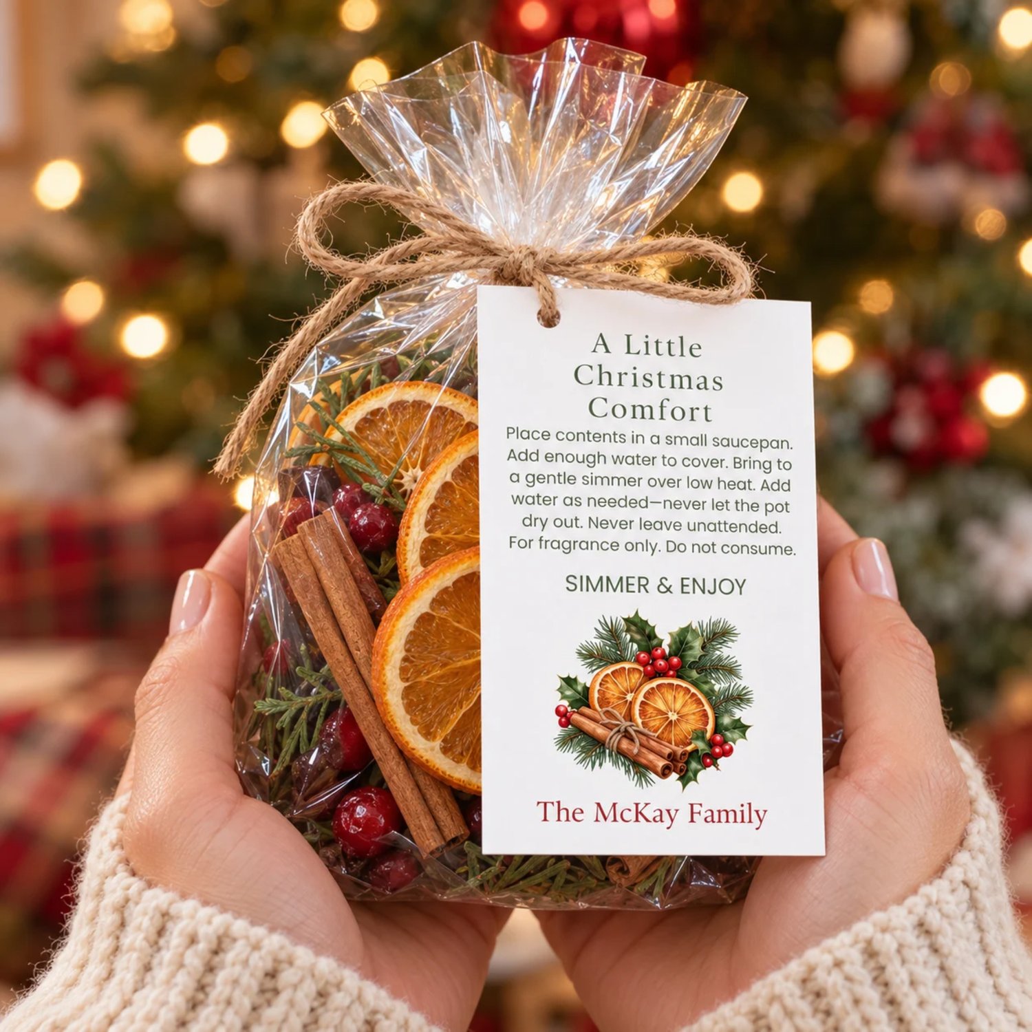 Sheet of eight rectangular Christmas simmer pot gift tags with green instructions, orange slices, cinnamon sticks, holly, evergreen and a red family name.