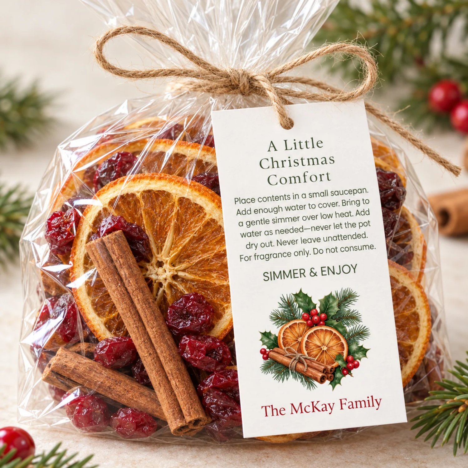 Sheet of eight rectangular Christmas simmer pot gift tags with green instructions, orange slices, cinnamon sticks, holly, evergreen and a red family name.