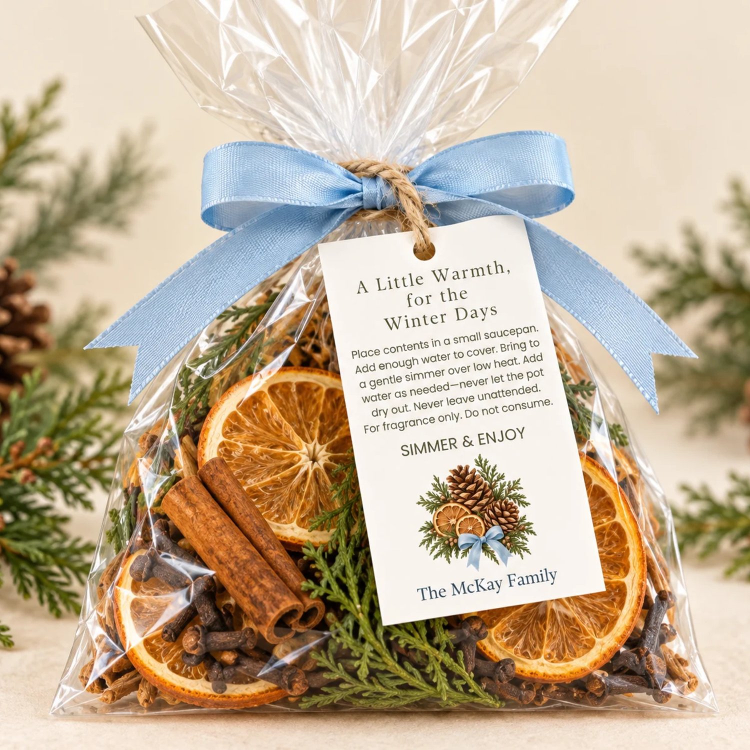 Landscape printable sheet of eight rectangular winter simmer pot gift tags with olive text, pinecones, dried orange slices, evergreen foliage and blue bows. Each includes simmering directions and a personalized family name.