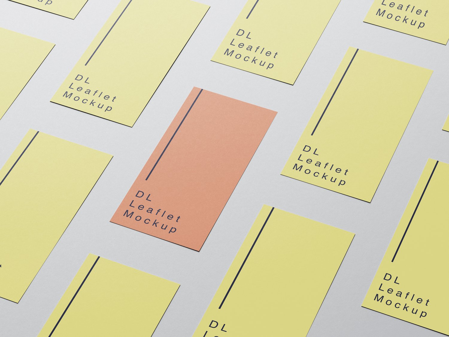 DL leaflet mockup