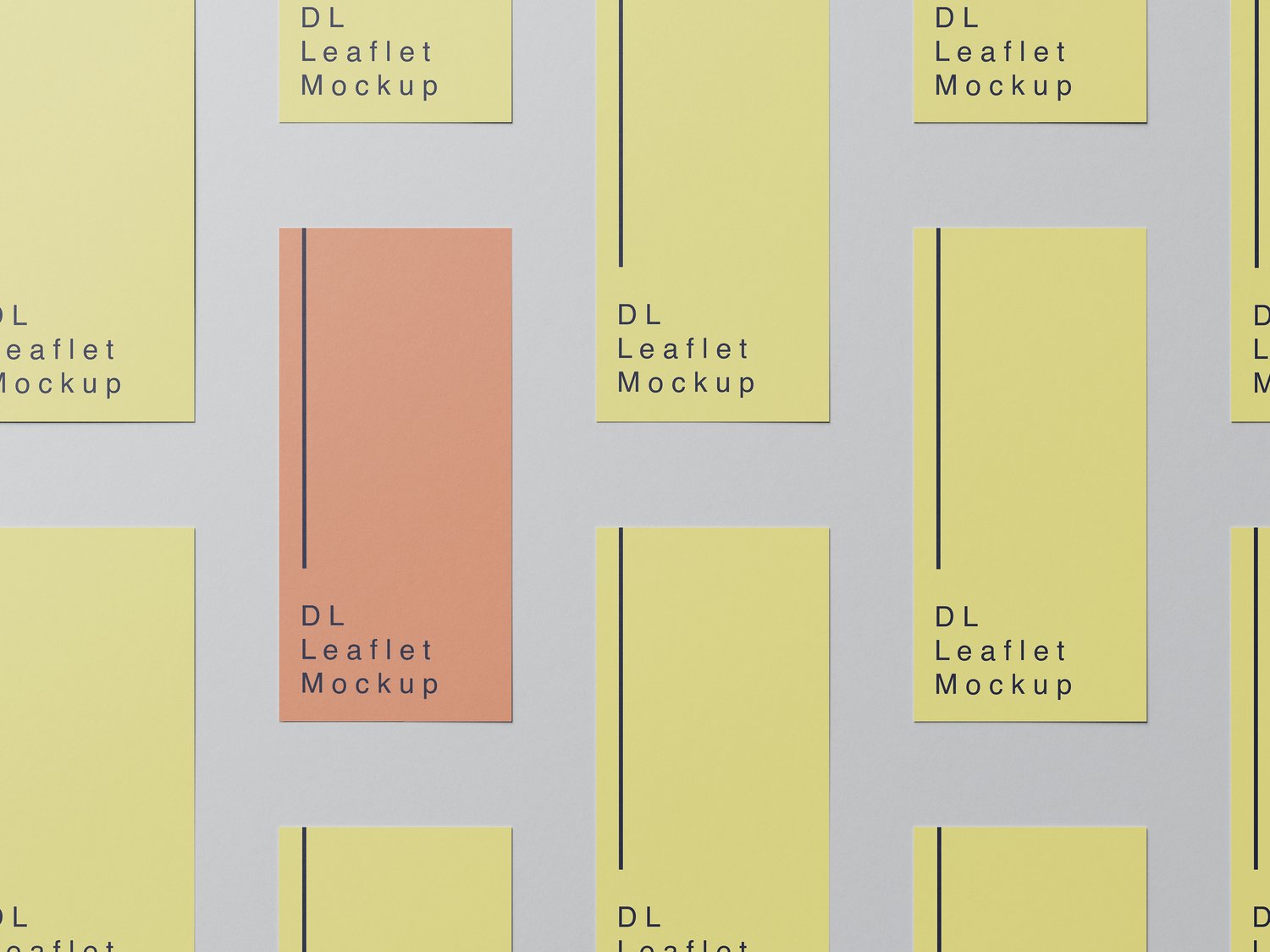 DL leaflet mockup design