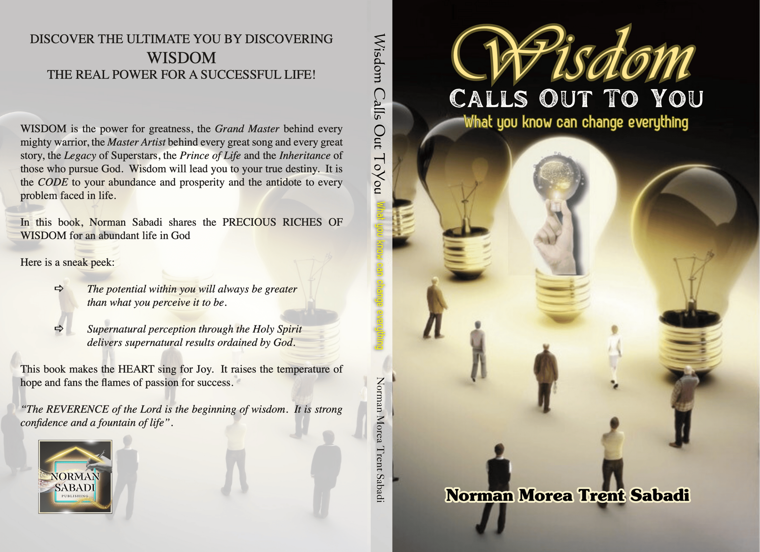 Cover - Wisdom Calls Out To You (ebook)