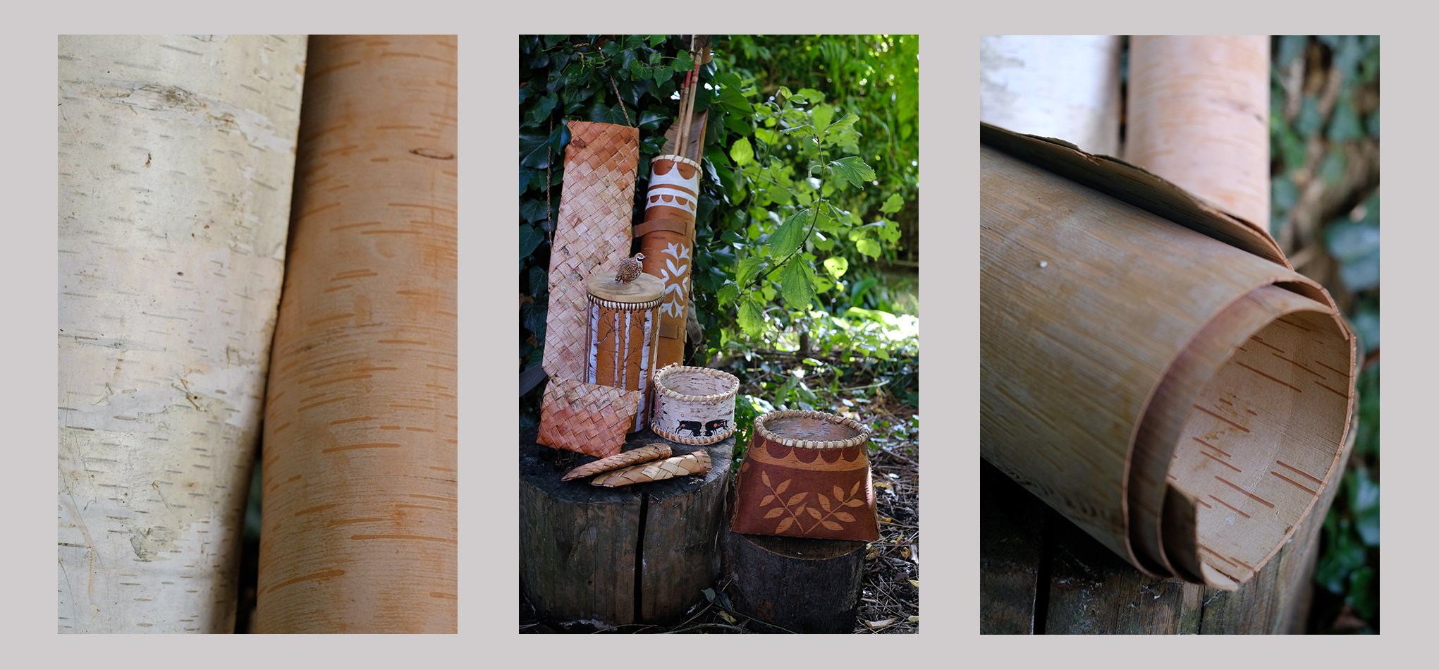 Boite écorce bouleau