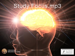 Study Focus Meditation Sound