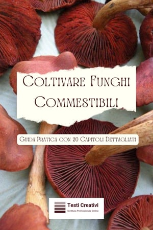 funghi commestibili, coltivazione fungina, guida pratica, micologia, kit di coltivazione, varieta di funghi, ambiente di crescita, raccolta funghi, propagazione micelio, terreno fertile, istruzioni dettagliate, coltivare funghi in casa, sostenibilità, risorse micologiche, hobby fungino, ricette gourmet funghi, community fungina, normative coltivazione funghi, business funghi, proprietà nutrizionali funghi, arte culinaria fungina, esperienza coltivazione