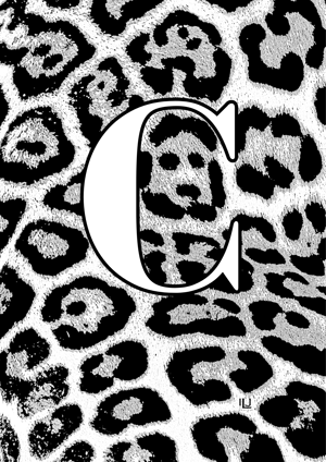 Sample Mono Animal Print Letter