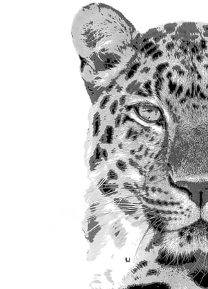 Big Cat Mono Image Fine Art Print