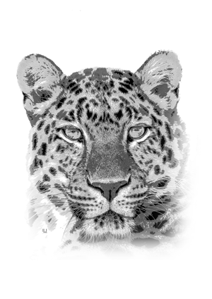Full Face Big Cat