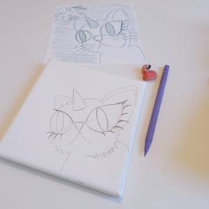 Making of an acrylic painting. The sketch and the canvas.
