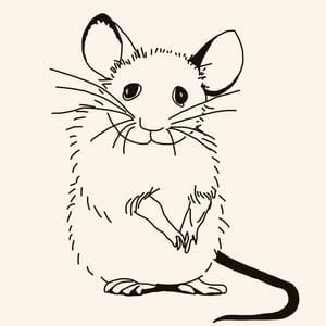 mouse staring