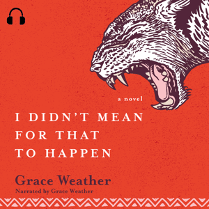 book cover for I Didn't Mean for That to Happen