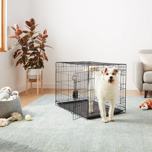 Foldable Metal Wire Dog Crate