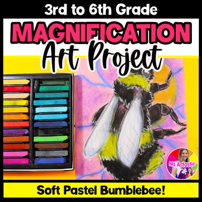 Bumblebee Magnification Art Lesson Soft Pastel Bumblebee Drawing Spring Insect
