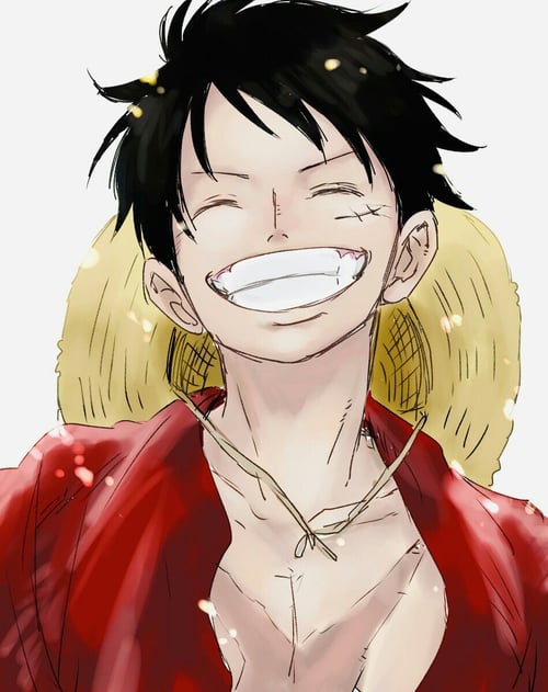 Monkey D Luffy smiling